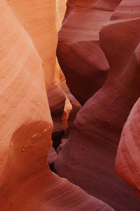 Water Holes Slot Canyon